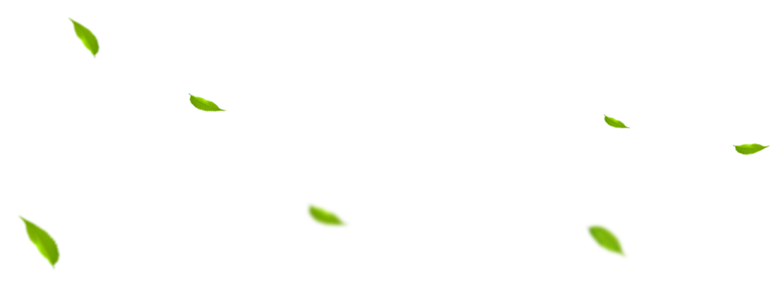 LEAF