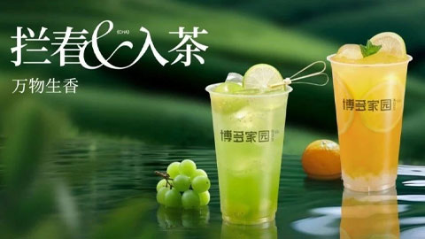 春天爆款的思路，都在这些茶底里！