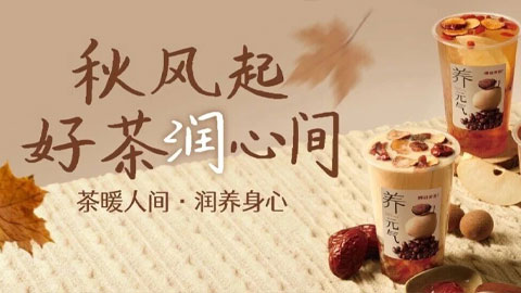 秋风起·好茶润心间